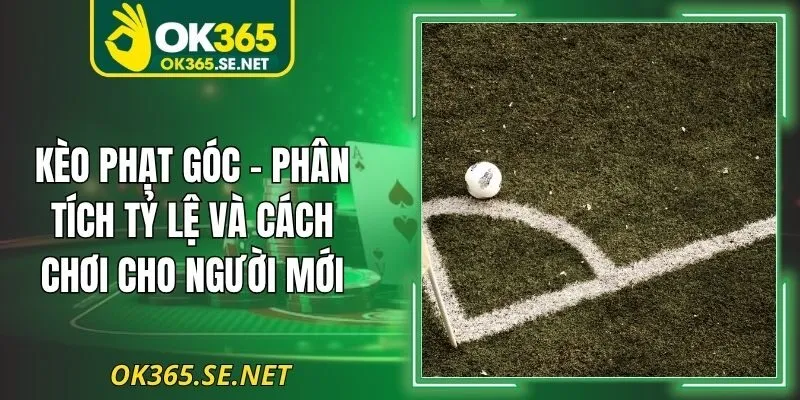 Kèo Phạt Góc - Phân Tích Tỷ Lệ Và Cách Chơi Cho Người Mới